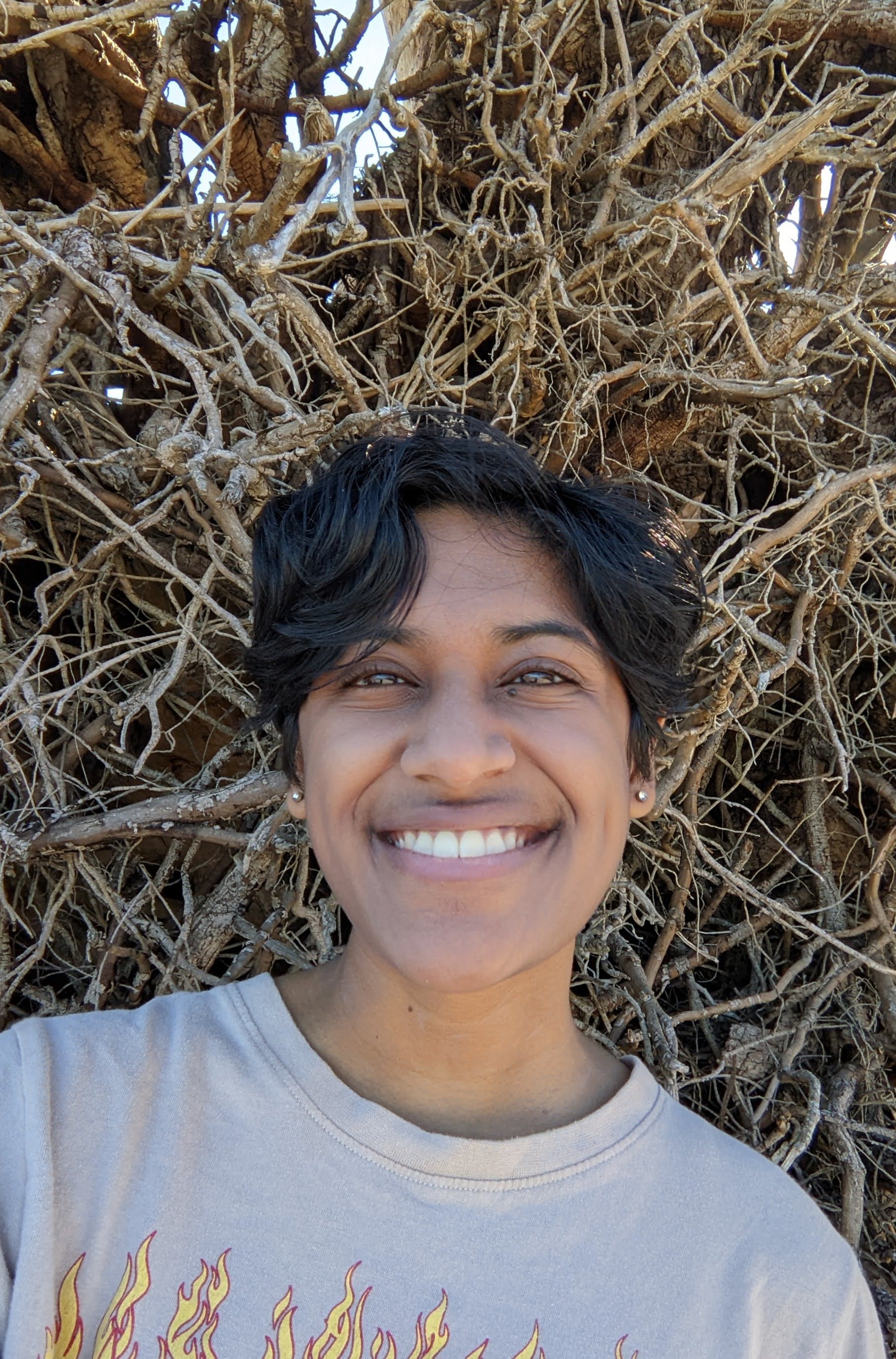 Picture of Sajni Saravanan